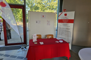 ea borse kaarstimpression